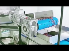 Jak urządzenia do konserwowania fasoli czerwonej produkują konserwowane fasole czerwone?