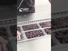 Linia produkcyjna pakowania daty Automatyczna maszyna do pakowania daty