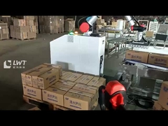 Robot Palletizer dla kartonów Palletizing Robotic Palletizing System Move Robot