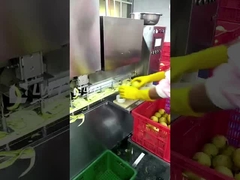 Linia produkcji owoców konserwowanych Leadworld Linia przetwarzania gruszki konserwowanej