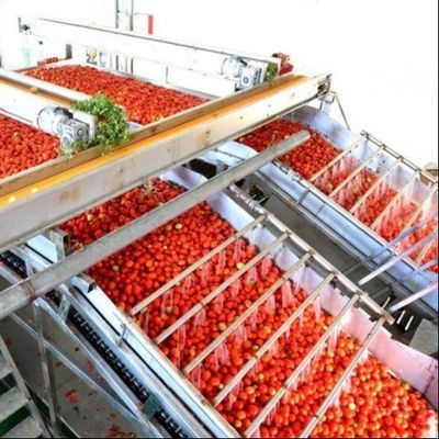 Wielofunkcyjna linia produkcyjna konserwowania pomidorów w puszkach od Leadworld Industrial